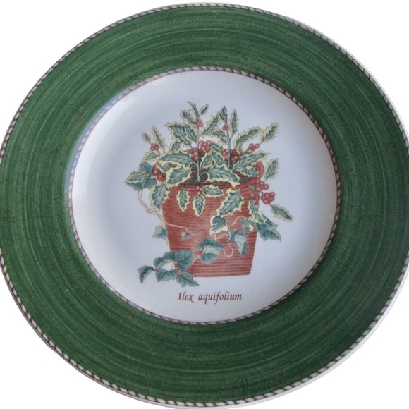 Wedgwood Sarahs Garden Holly & Ivy Ilex Aquiflorium Queens Ware 2 Salad Plates - Picture 1 of 8
